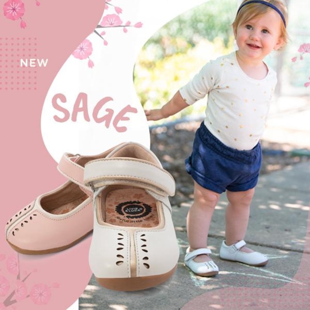 NWOT Livie and Luca Sage Mary Jane Shoe!